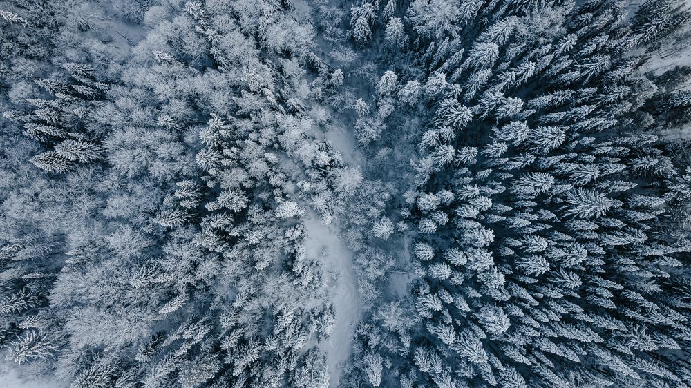 Photograph by Никита Волокитин