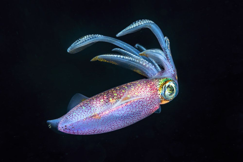 Photograph by Алексей Магай