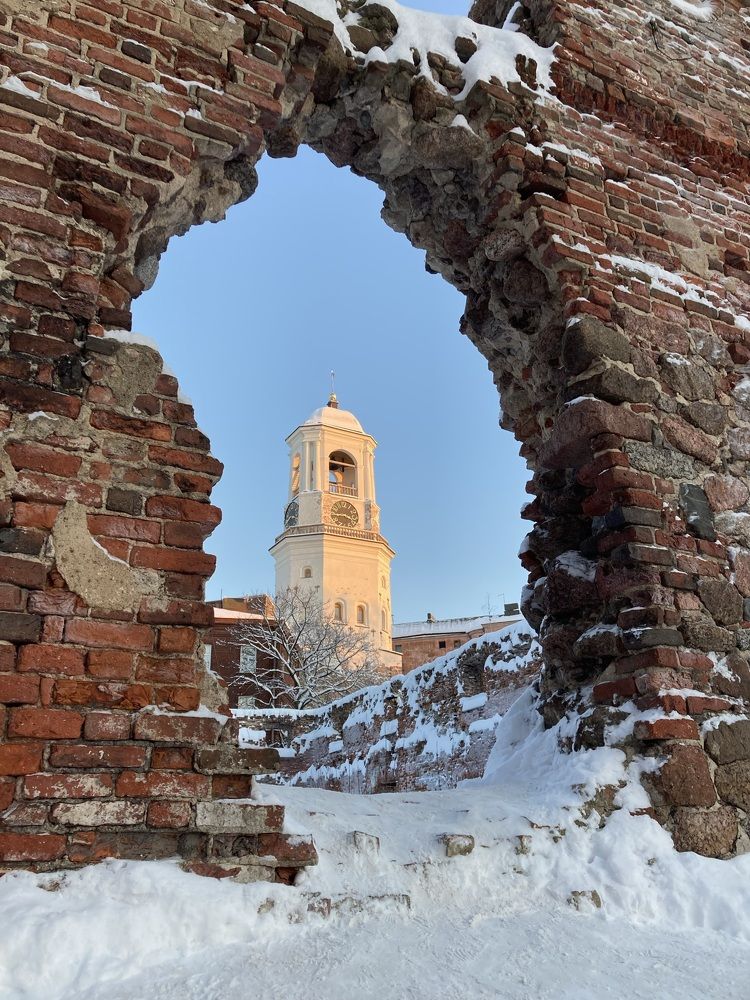 Фотография автора Анна Могилева