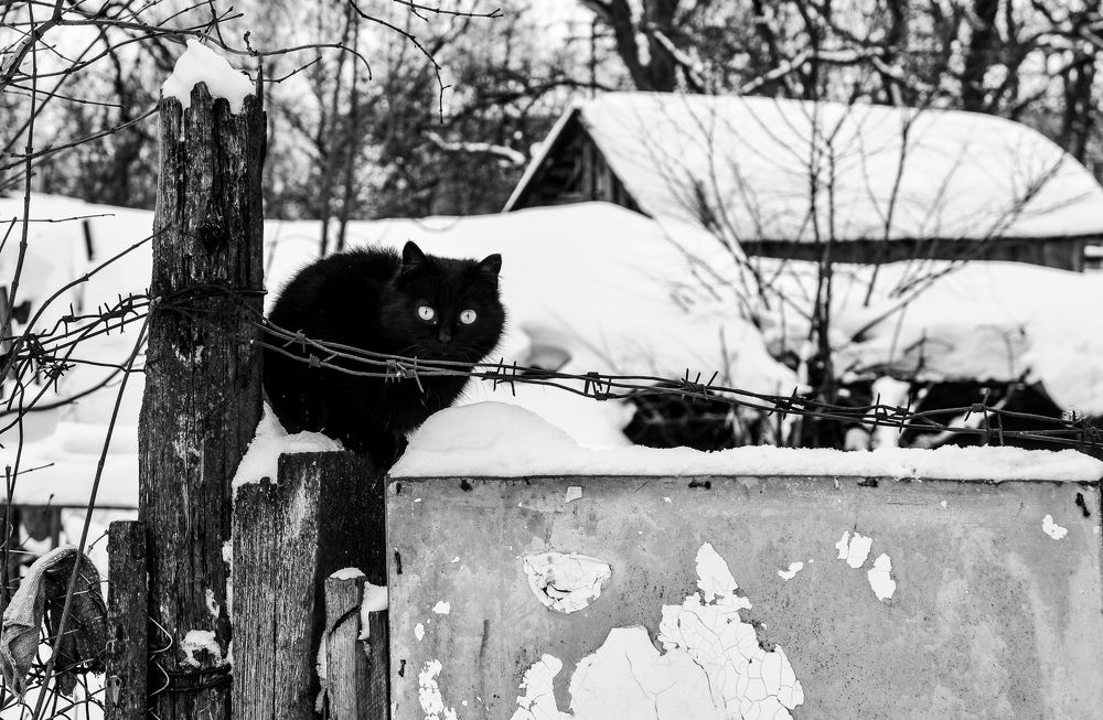 Photograph by Валерий Верещако