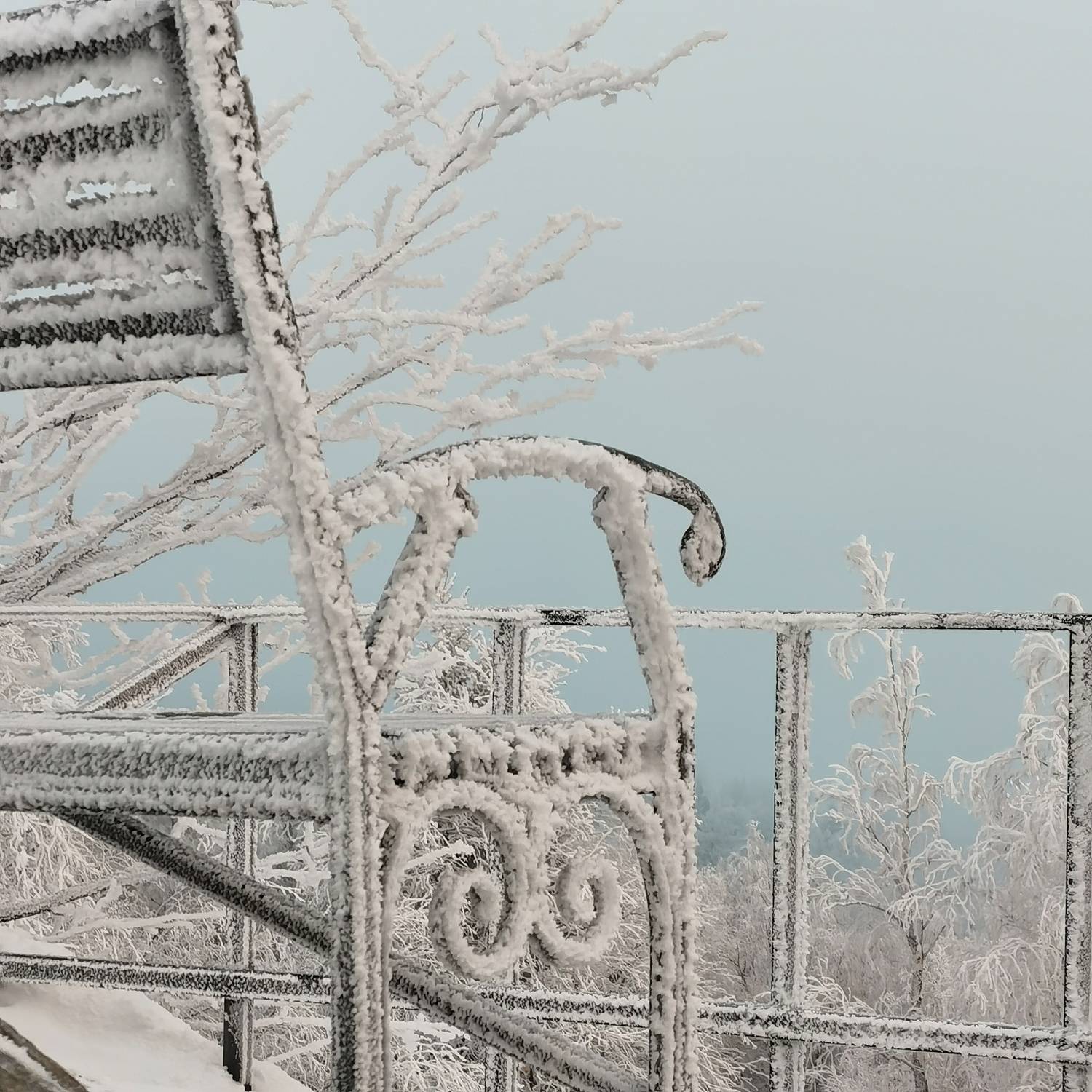 Photo #7279881