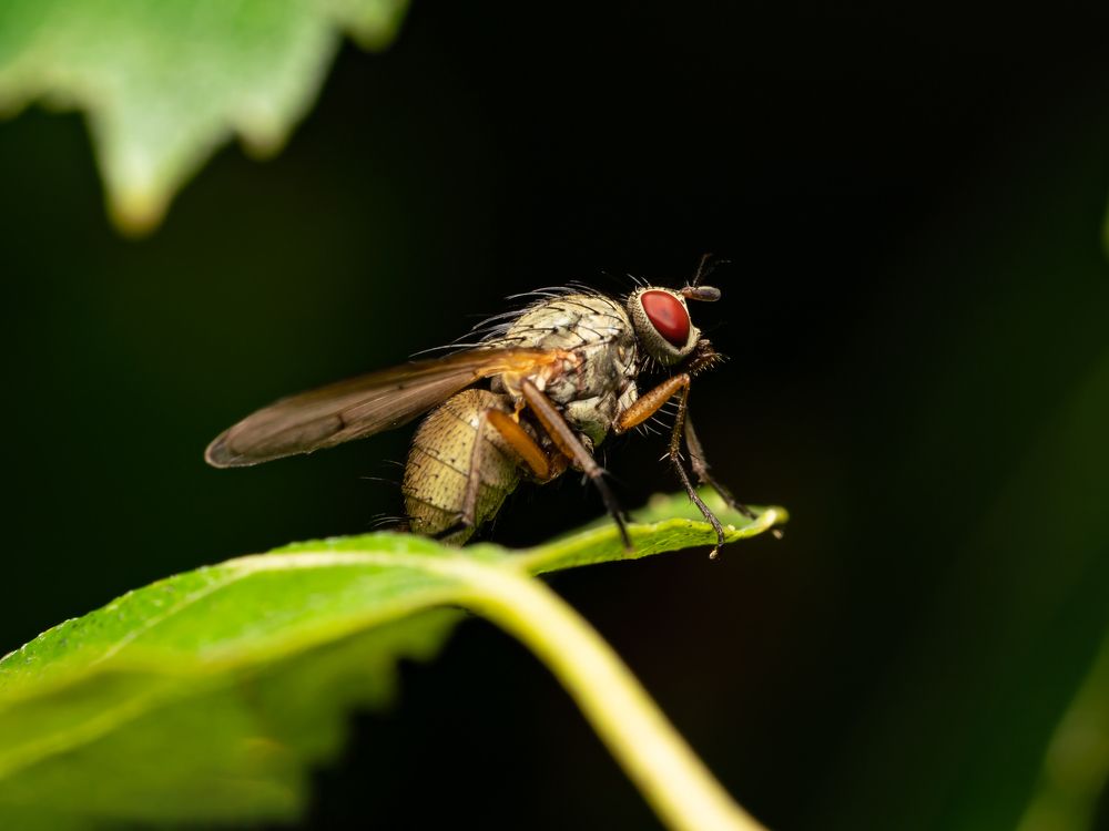 Photograph by Денис Дроздов