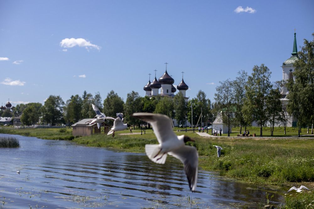 Photograph by Elena Kostochkina