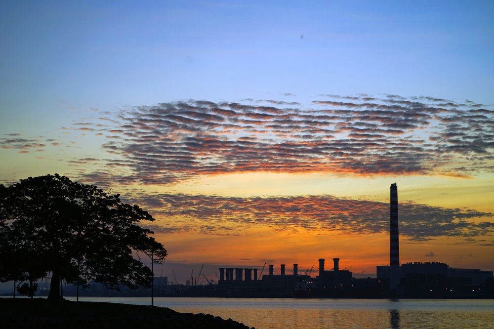 Photograph by Samuel Chan