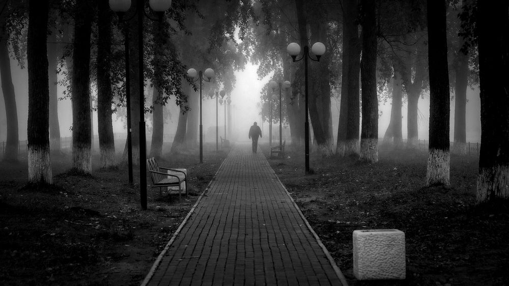 Photograph by Сергей