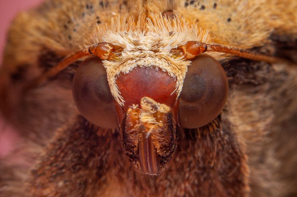 Photograph by Александр Балберов