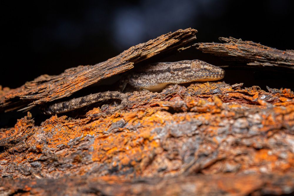 Photograph by Александр Балберов