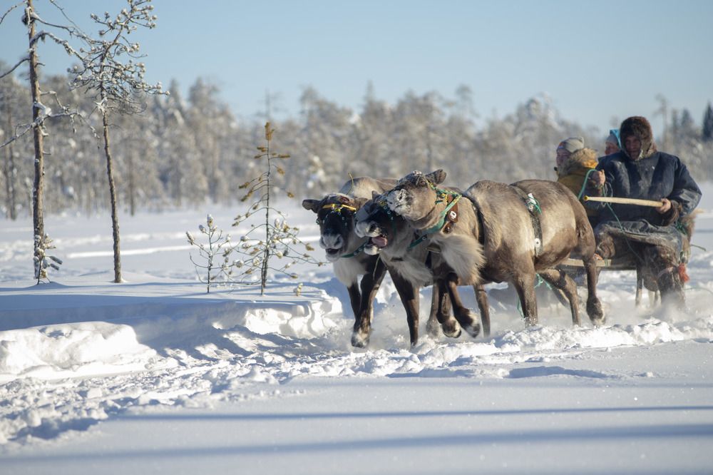 Photograph by Elena Kostochkina