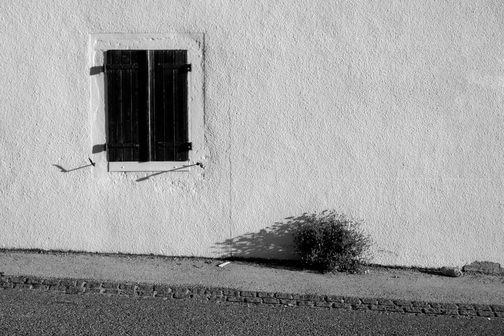 Фотография автора Тетяна Суліма