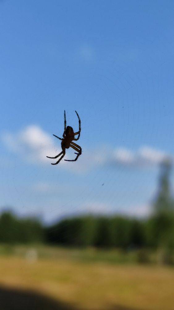 Photograph by Ирина Подлубная