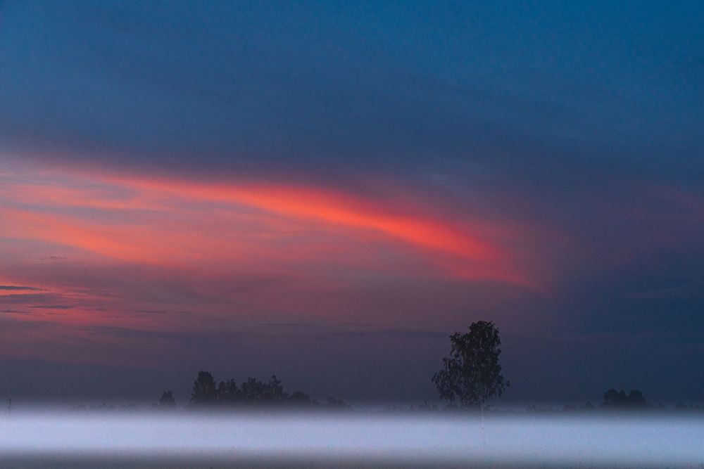 Photograph by Михаил