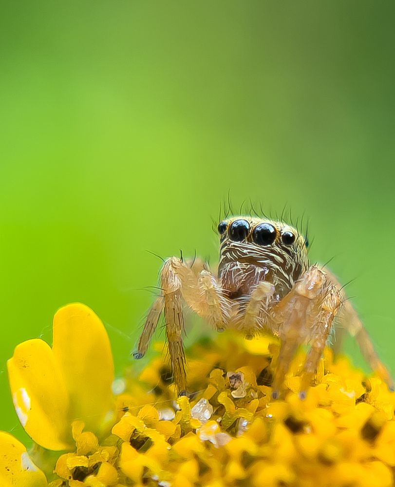 Photograph by Prasanth V