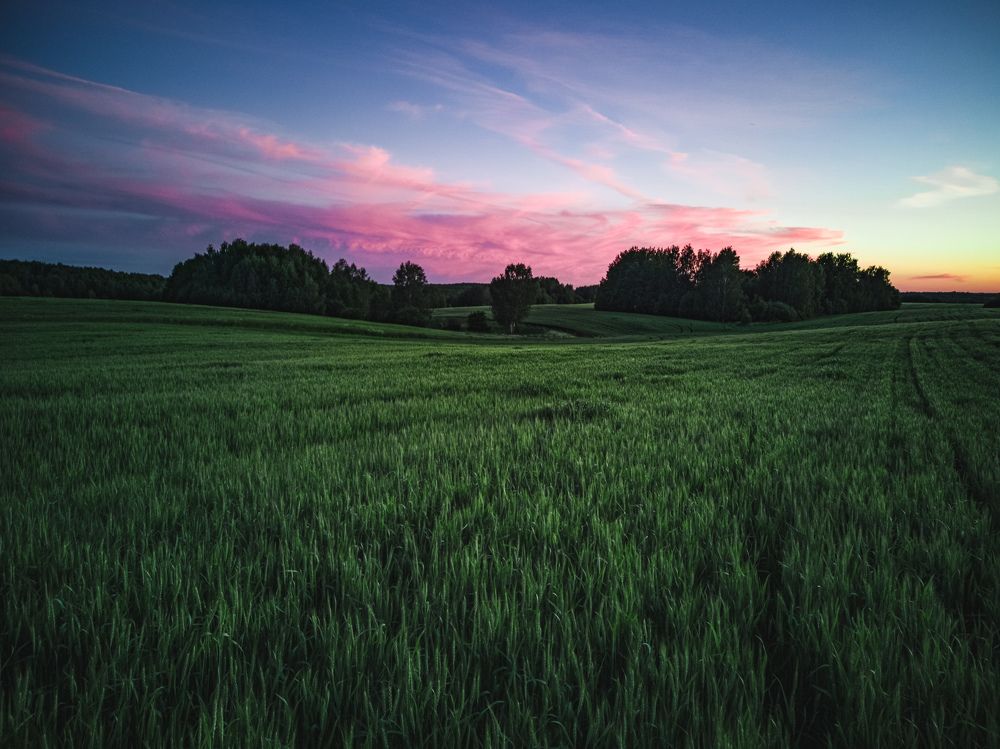 Photograph by Иван Перевезенцев