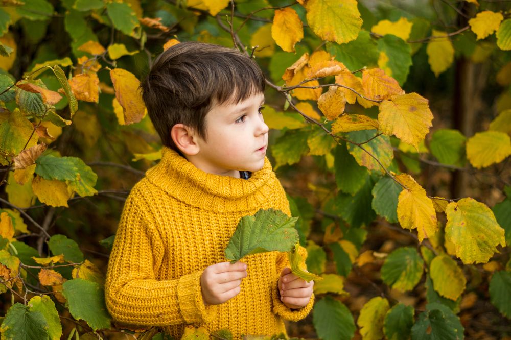 Варлам на фоне ореха