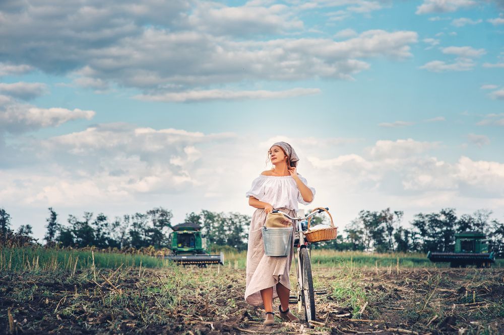 Уборка подсолнечника