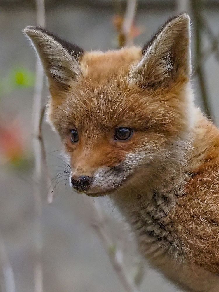 Photograph by Сергей Духанин