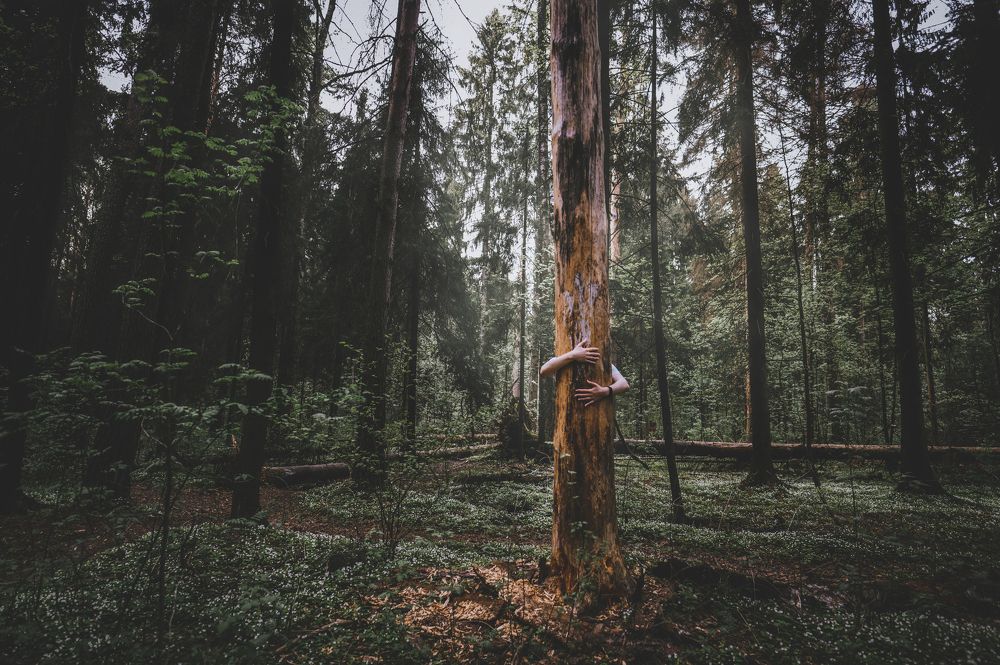 Photograph by Инна Фокина