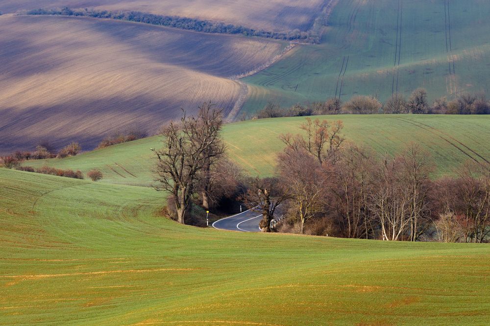 Photograph by Дмитрий Соколов