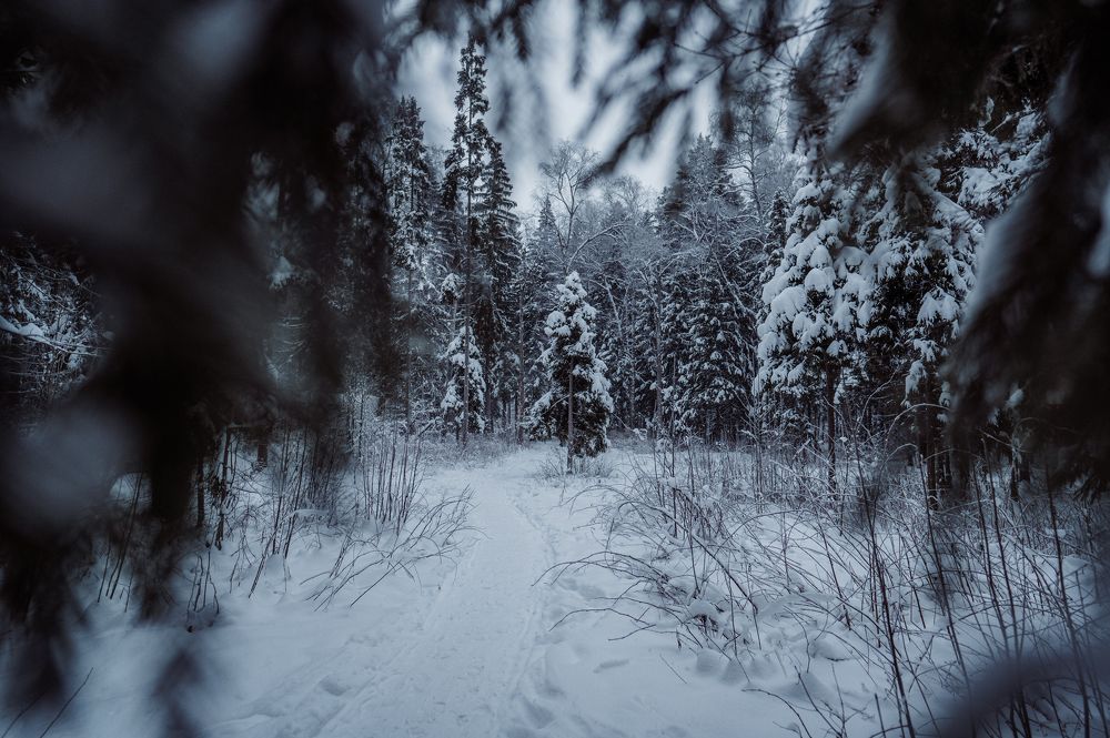 Photograph by Инна Фокина