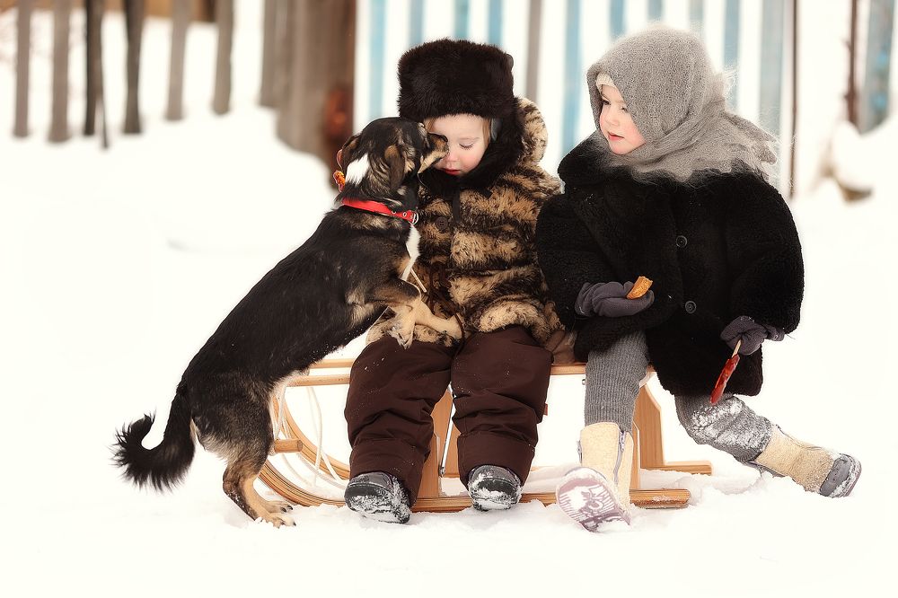 Собака друг человека