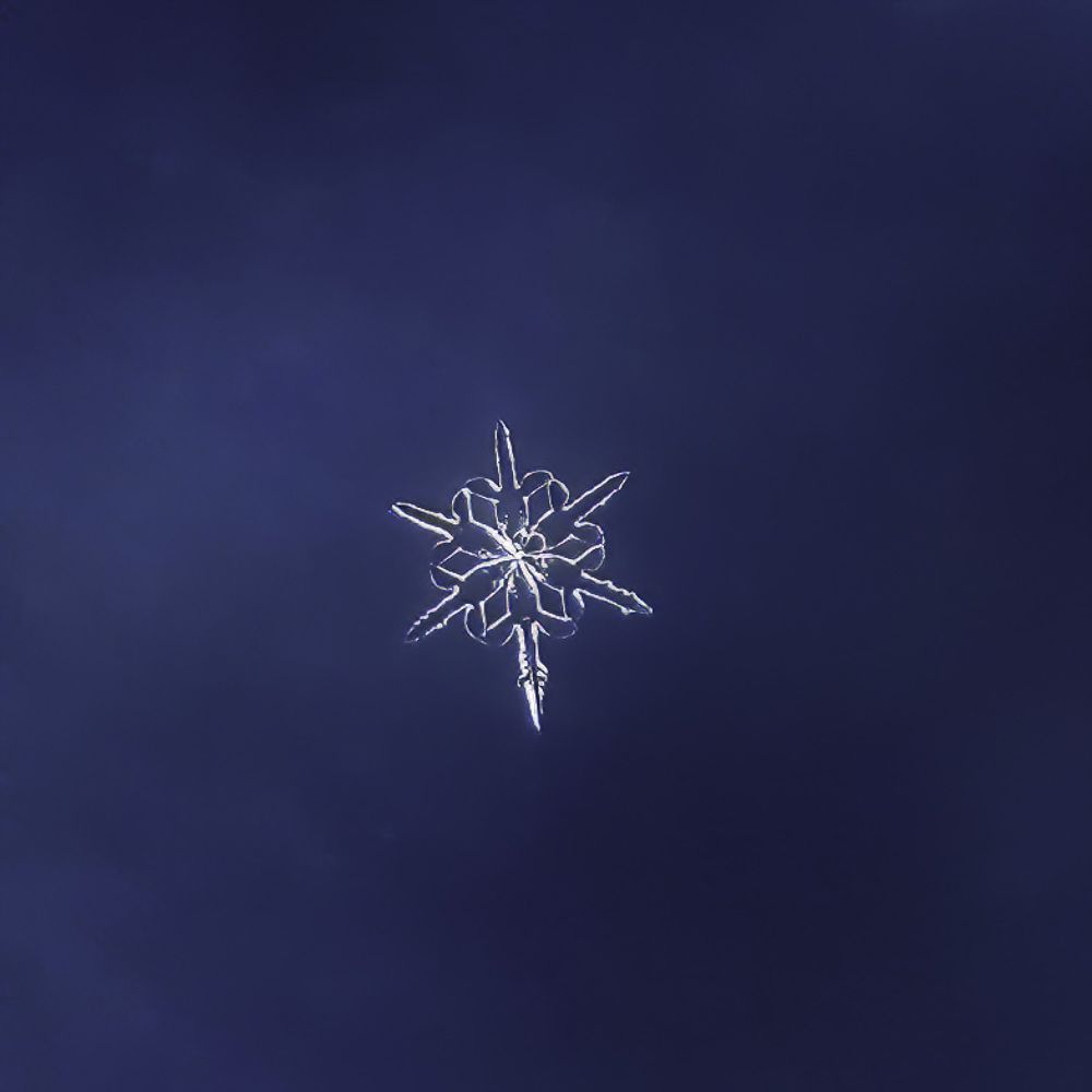 Зимний микромир