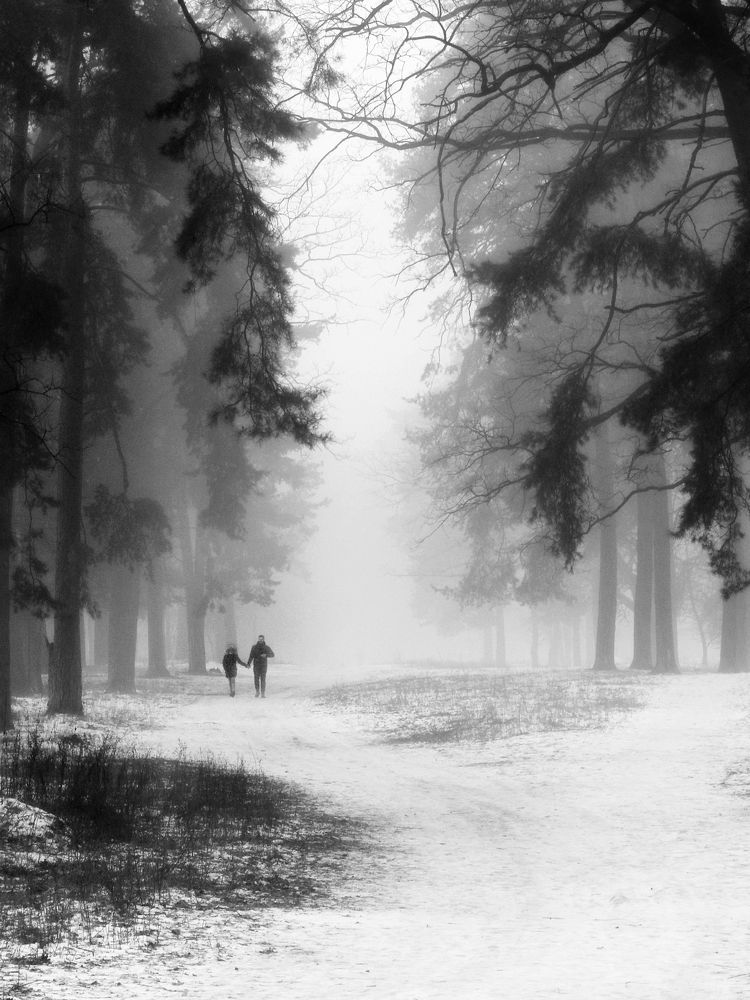 Фотография автора Тетяна Суліма