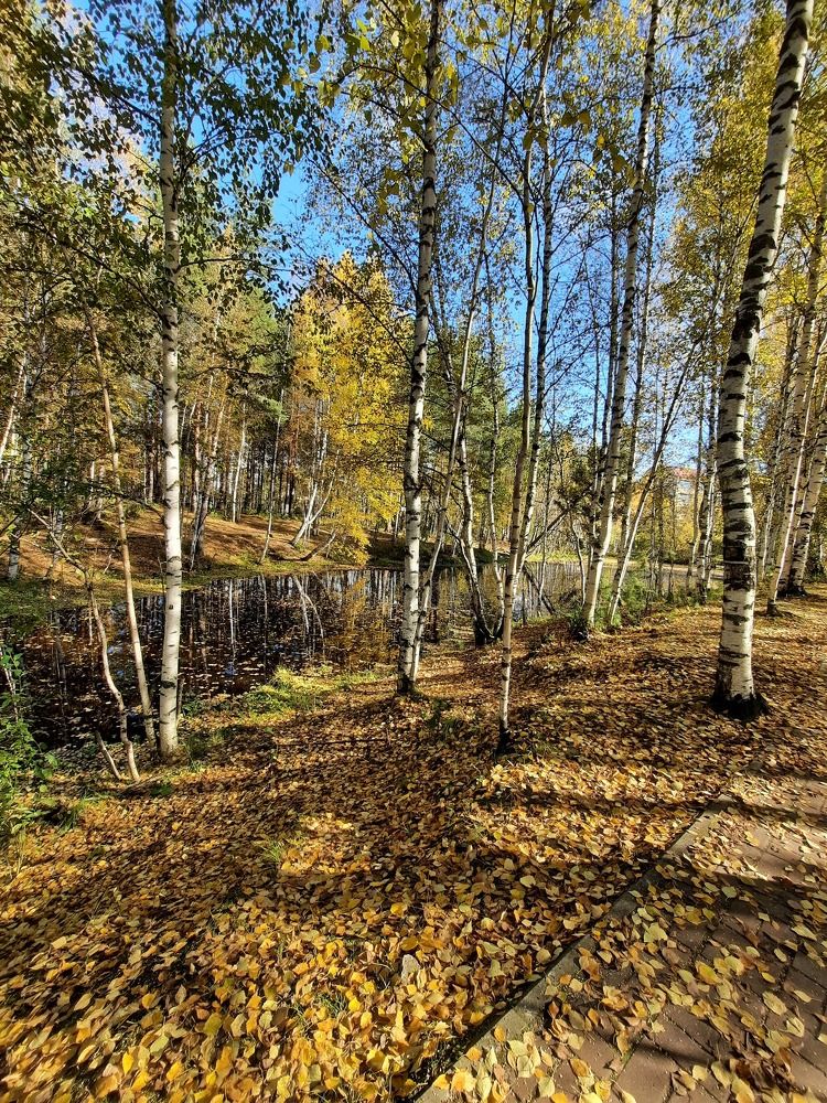 Photograph by Людмила Е.