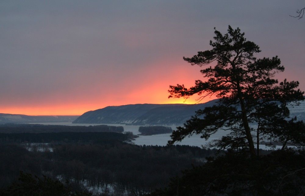 Фотография автора Татьяна Шебаршенко