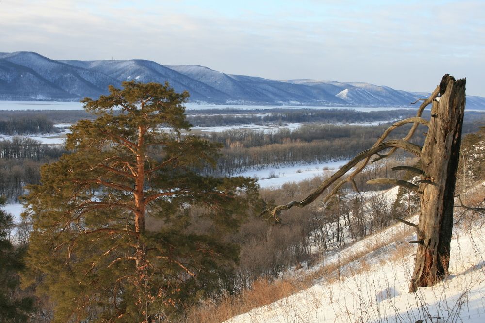 Фотография автора Татьяна Шебаршенко