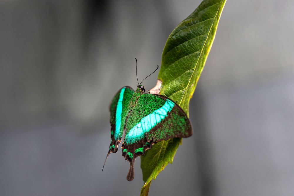 Фотография автора Наталья