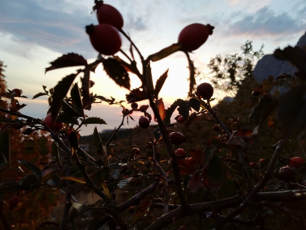 Photograph by Екатерина Старикова