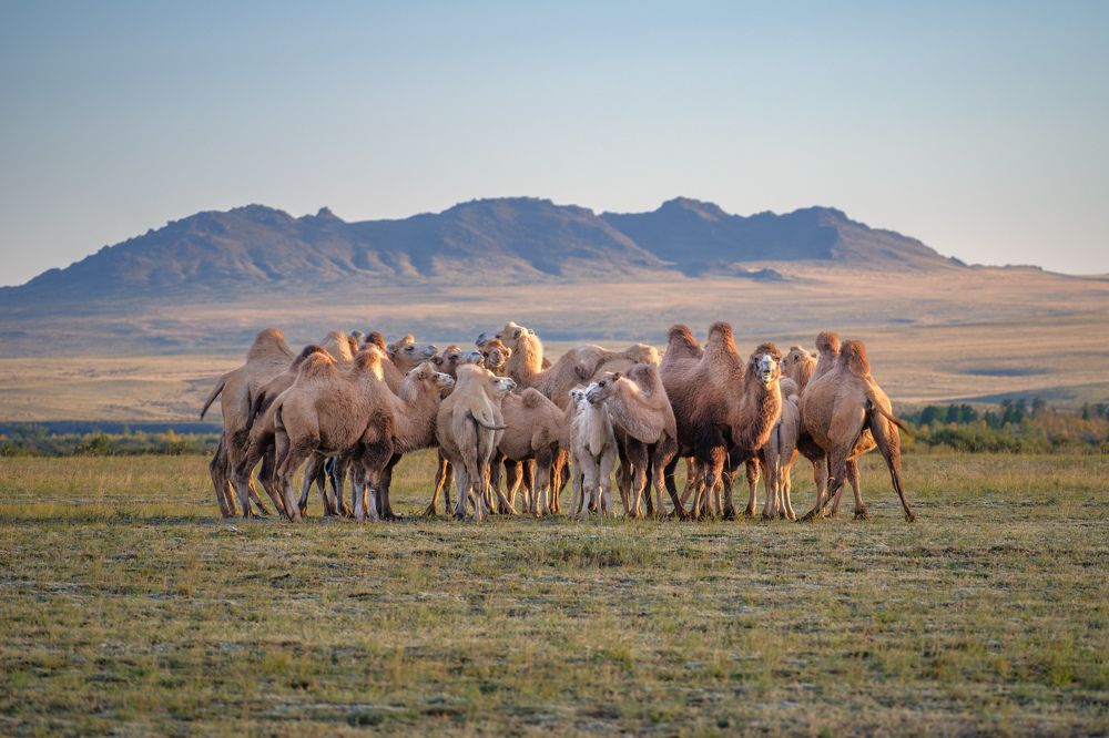 Photograph by Леонтьев Константин