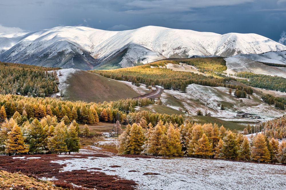 Золотая осень. Тыва.