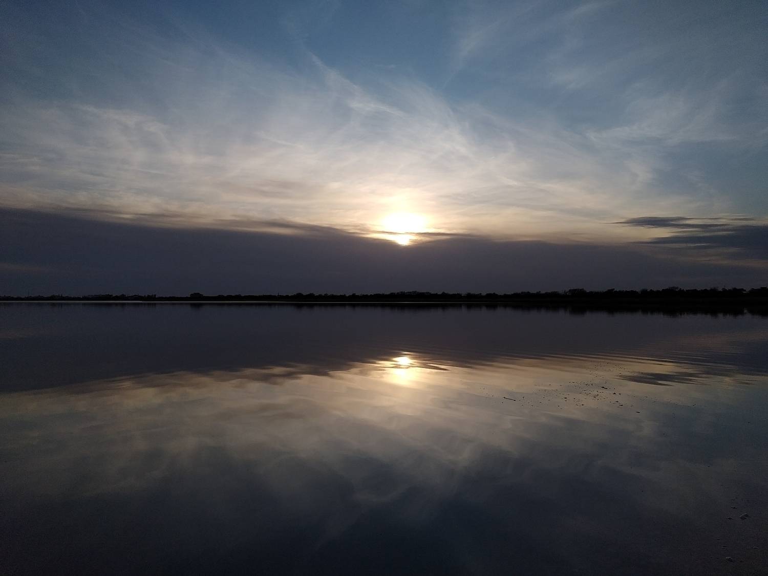 Photo #7280837
