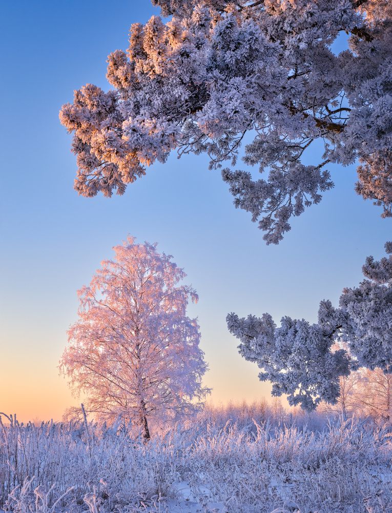 В ожидании заката