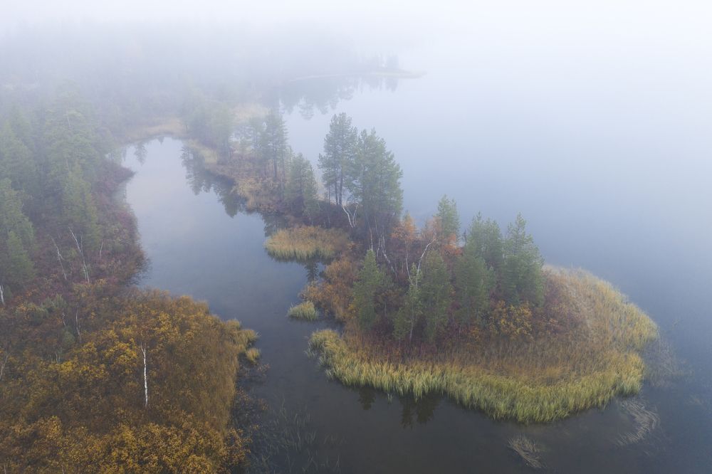 Photograph by Андрей Сачков