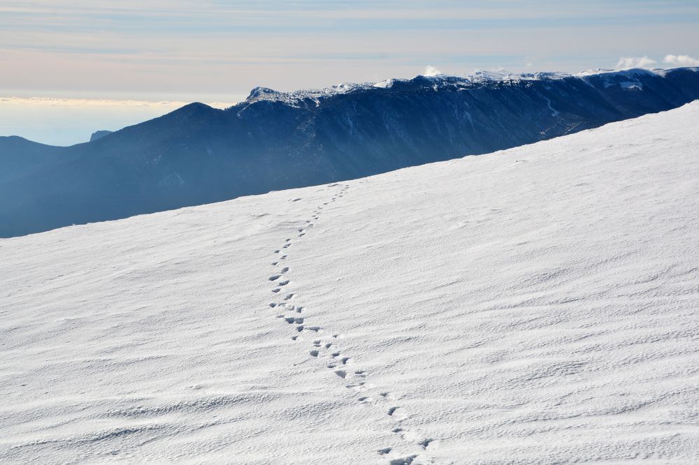 Photograph by Екатерина Крючкова