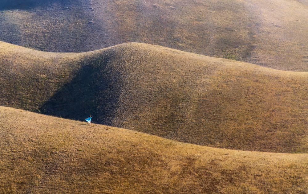 Photograph by Леонид Максименко