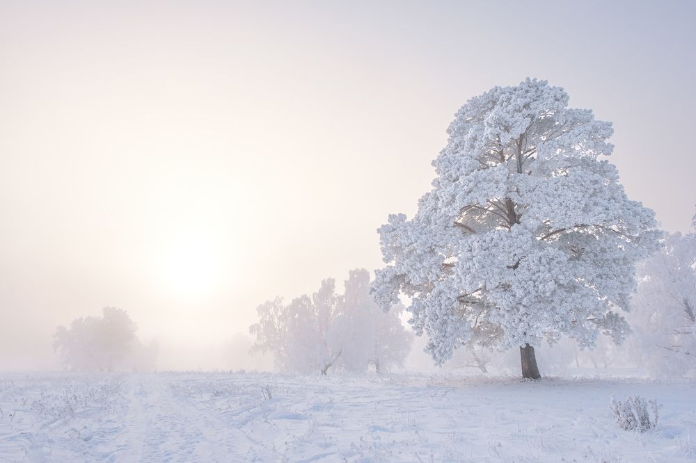 Зимний полдень.
