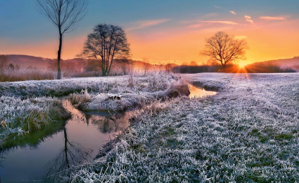 Photograph by Elena Wymann