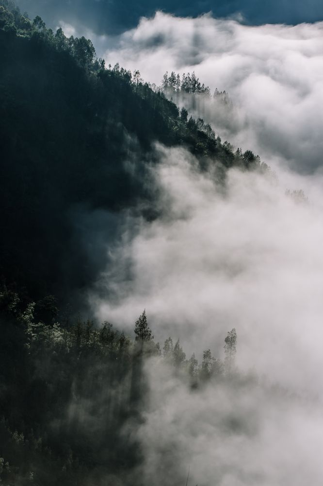 Photograph by Анастасия Сауль