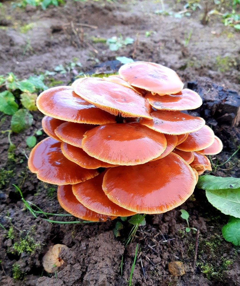 Фотография автора Ирина Лукьянчик