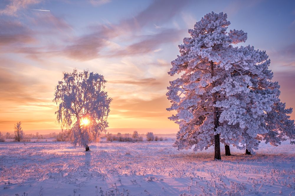 Тёплые краски холодной зимы