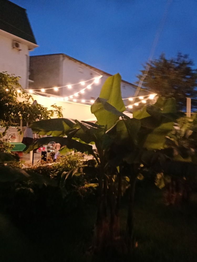 Photograph by Анна Вархоляк