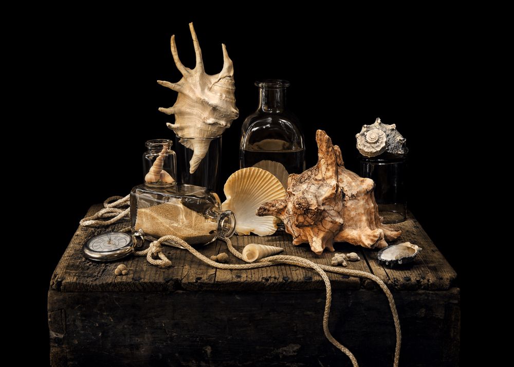 Ракушки и стекло