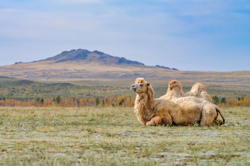 Photograph by Леонтьев Константин