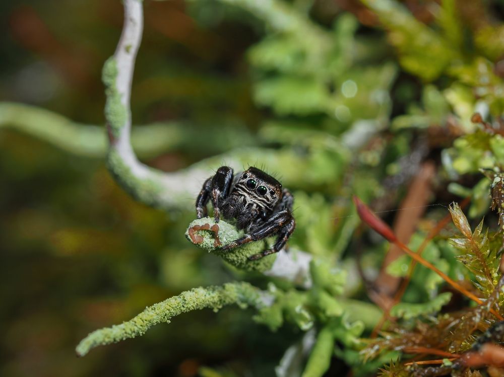 Photograph by Максим Кошелев