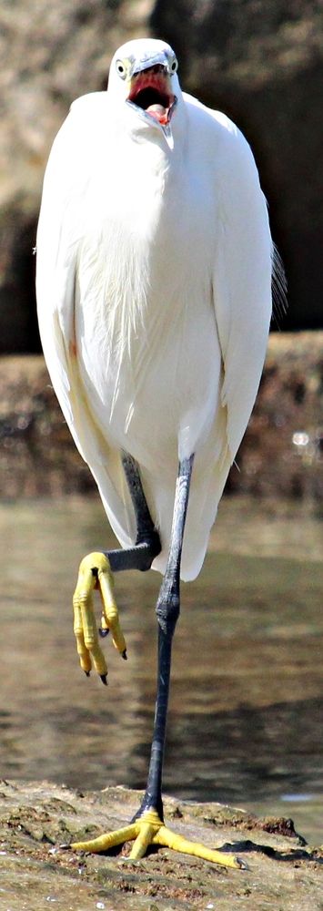 Photograph by Daniel Sharir