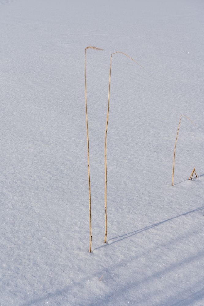 Photograph by Елена Копейкина