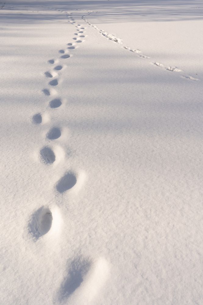 Photograph by Елена Копейкина